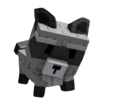 Raccoon