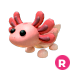 Ride Axolotl