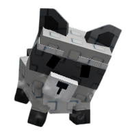 Windy Raccoon
